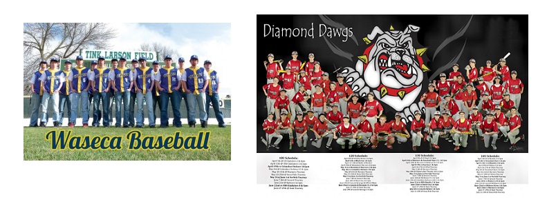 Poster-WasecaBaseball-300x200