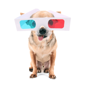 3D-Dog 3D-Dog