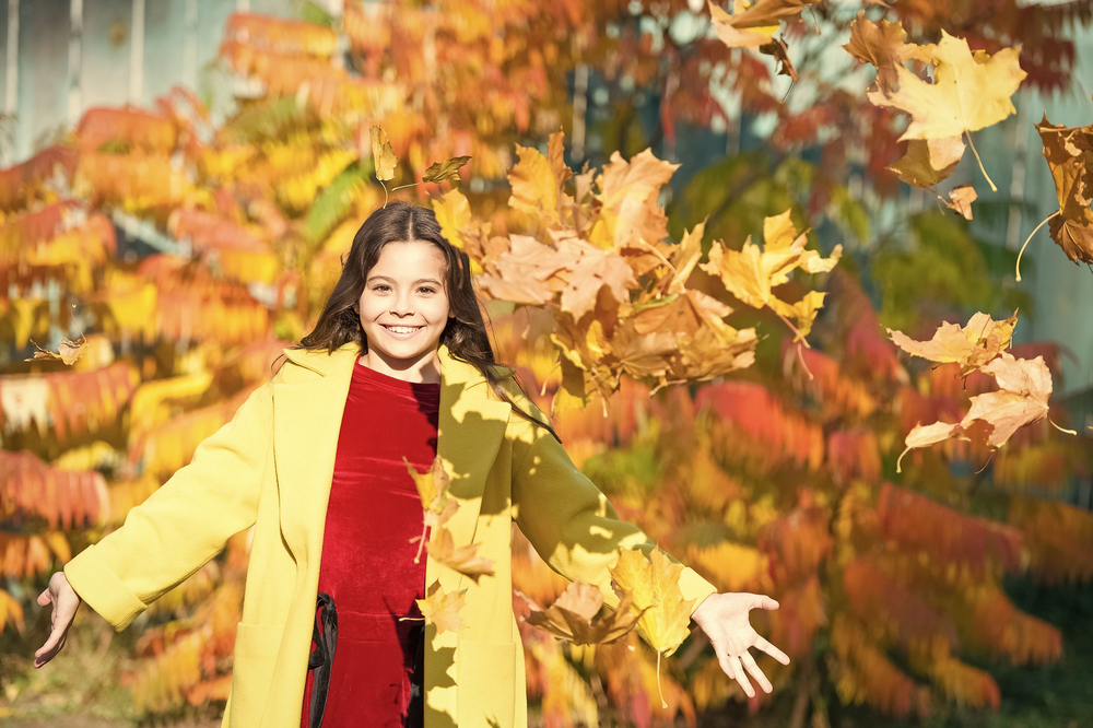 How to Host a Fall Photo Drive: Collect More Content From Parents & Teachers